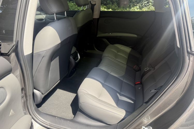 Used  L6 2024 Max Long-Range Version
