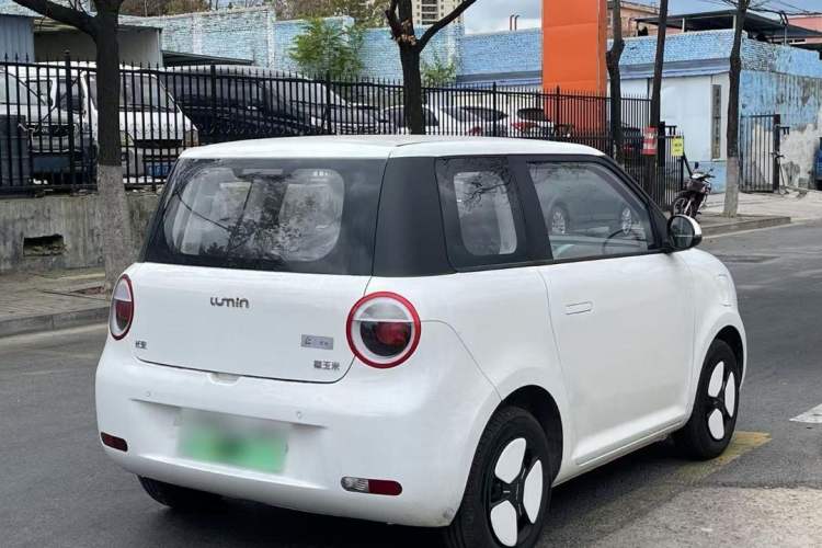 Used  Lumin 2023 301km Honey Dew Edition
