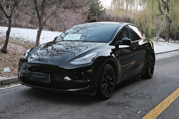 Used Tesla Model Y 2021 Standard Range Rear-Wheel Drive Version
