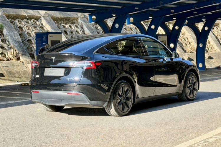 Used Tesla Model Y 2023 Rear-Wheel-Drive Version
