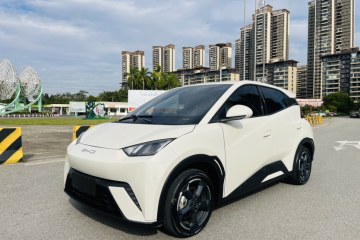 Used BYD Seagull 2023 Free Edition