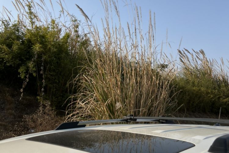 Used Dodge Journey 2013 2.4L Two-Wheel Drive Luxury Version
