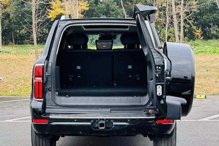 Used Tank 500 New Energy 2023 Hi4-T
