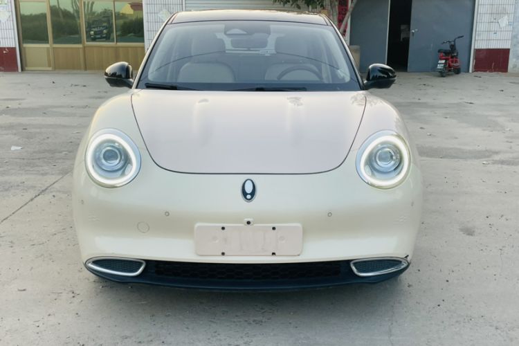 Used ORA Good Cat 2021 400km Standard Range Athena Edition Lithium-Ion Battery