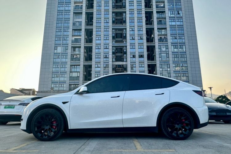 Used Tesla Model Y 2022 Rear-Wheel-Drive Version
