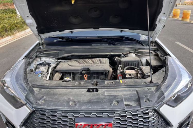 Used Haval H6 Coupe 2018 Red-Label 1.5T Automatic Two-Wheel Drive Ultra-Luxury Model
