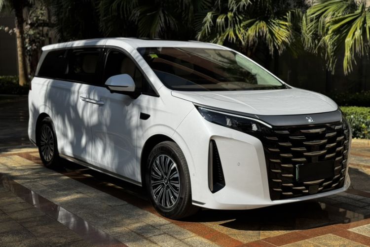 Used BYD Xia 2025 DM-i 1.5T 180km Excellence Model
