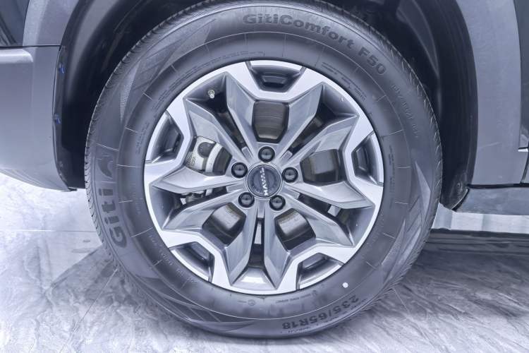 Used Haval DARGO 2024 2.0T DCT Chinese Rural Dog Edition
