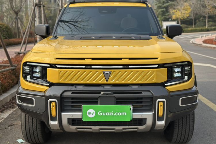 Used  G318 2025 Worry-Free Adventure Edition Four-Wheel Drive Secret Realm Version
