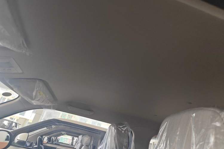 Used  Lumin 2025 205 km Xiangqin Version
