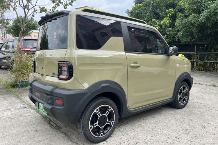 Used  Panda 2024 200km Panda Rider
