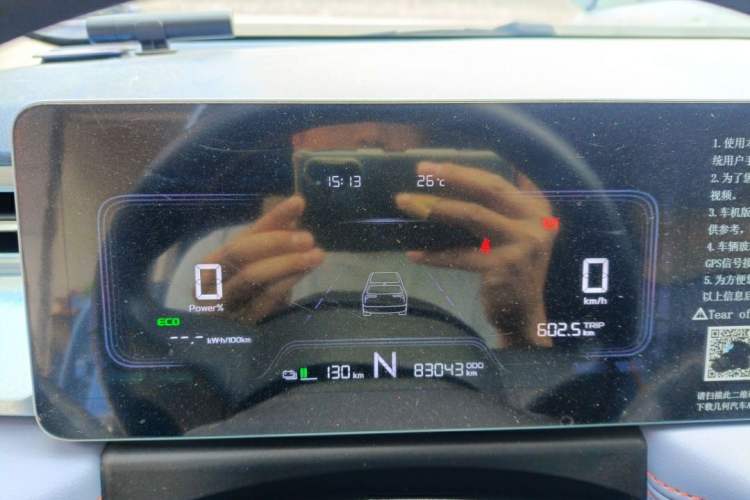 Used Geometry E Firefly 2022 320KM Cute Tiger 4-Seater
