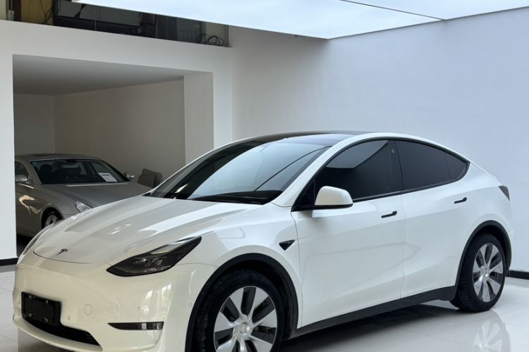 Used Tesla Model Y 2021 Standard Range Rear-Wheel Drive Version
