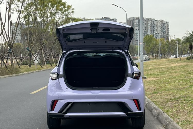 Used BYD Dolphin 2023 420 km Free Version
