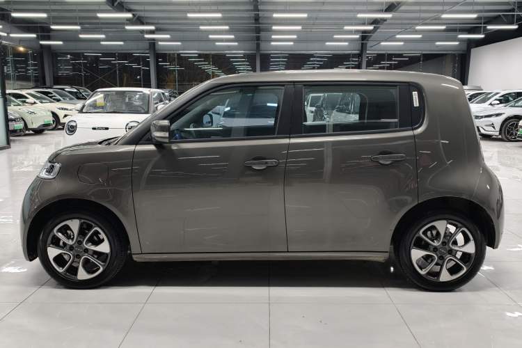 Used ORA White Cat 2020 305 km Luxury Version
