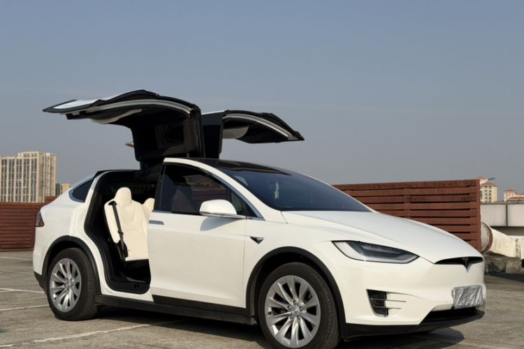 Used Tesla Model X 2019 Long-Range Version
