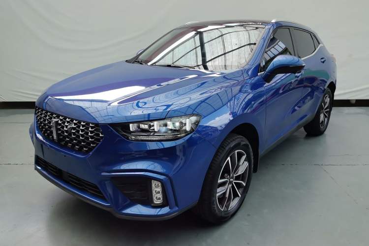 Used Wey VV5 2020 1.5T Two-Wheel Drive Smart Pioneer
