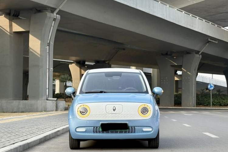 Used ORA Black Cat 2022 351 km Range Comfort Version Ternary Lithium