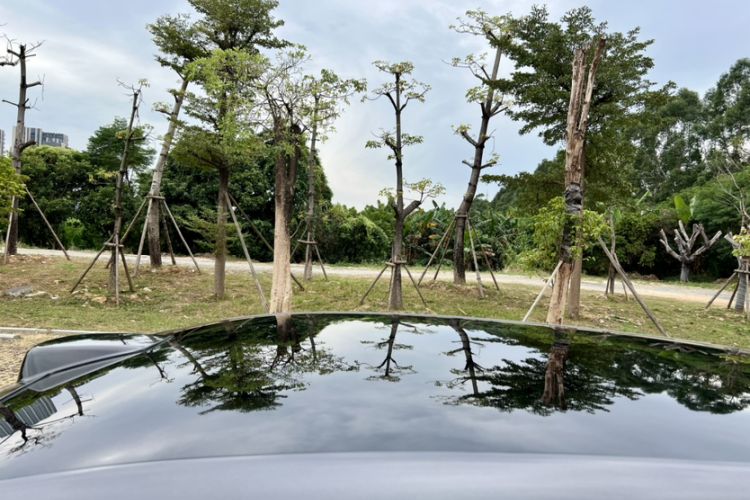 Used Li Auto L6 2024 Pro Model
