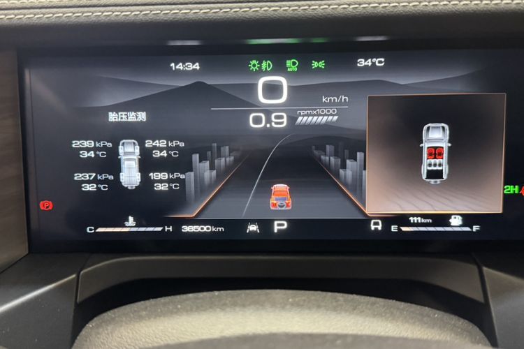 Used Tank 300 2024 2.0T Challenger
