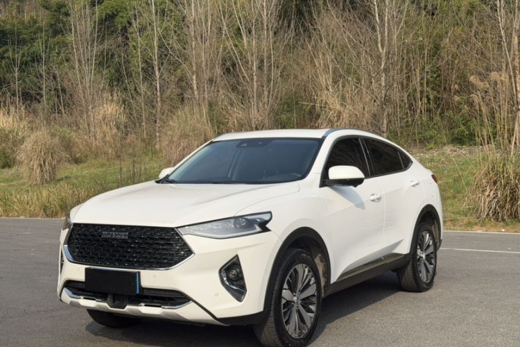 Used Haval F7x 2019 1.5T Two-Wheel Drive Intelligent Technology Edition