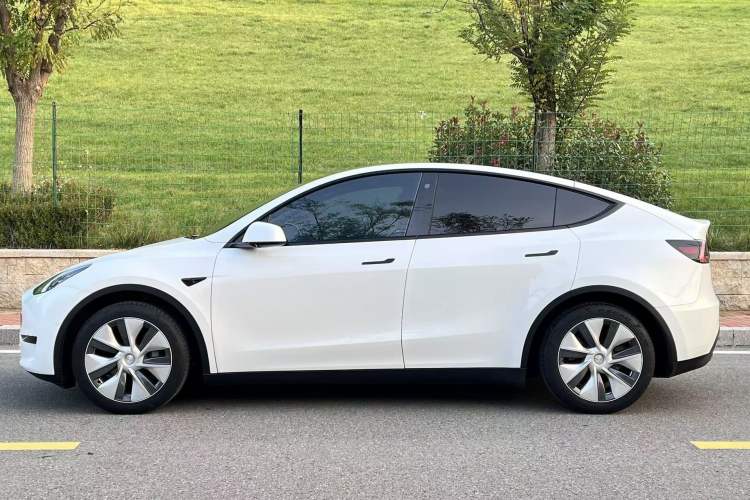 Used Tesla Model Y 2022 Rear-Wheel-Drive Version
