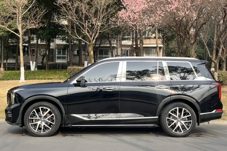 Used GAC Trumpchi GS8 2024 Linghang Series 2.0 TGDI Four-Wheel Drive Luxury Smart Connectivity Version
