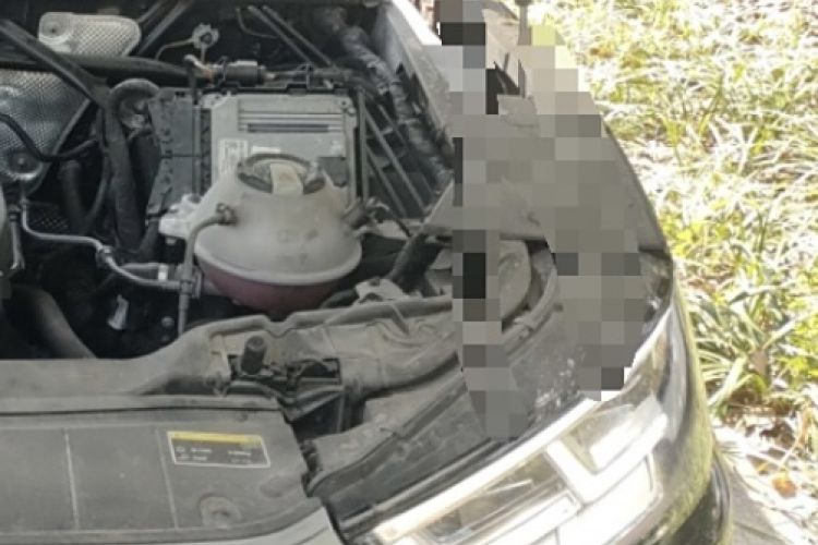 Used Audi Q5L 2018 40 TFSI Prestige Fashion Edition China VI
