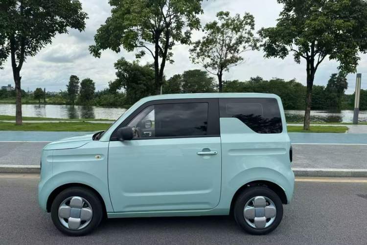 Used  Panda 2023 Panda Mini 200km Endurance Bear