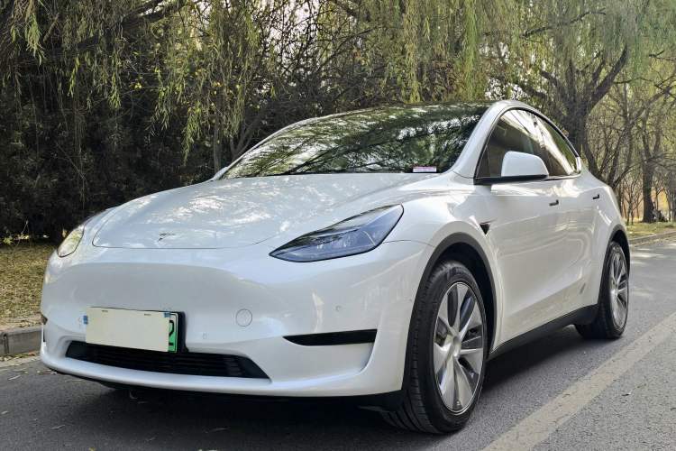 Used Tesla Model Y 2022 Rear-Wheel-Drive Version