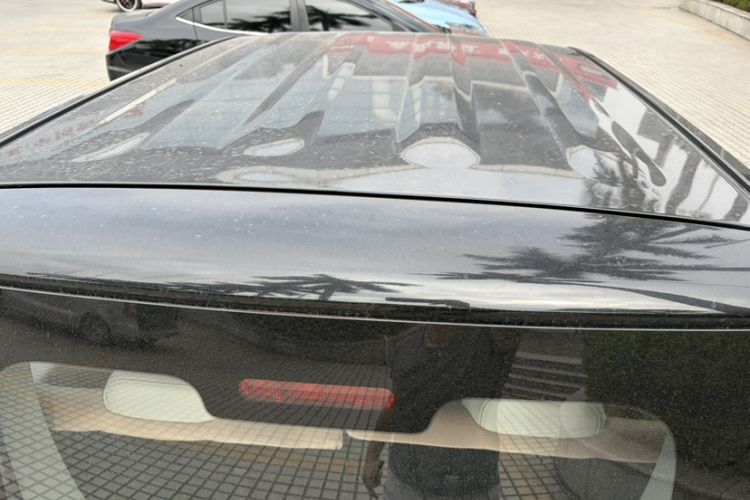 Used  Panda 2023 Panda Mini 200km Endurance Bear
