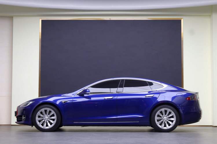 Used Tesla Model S 2019 Long-Range Version
