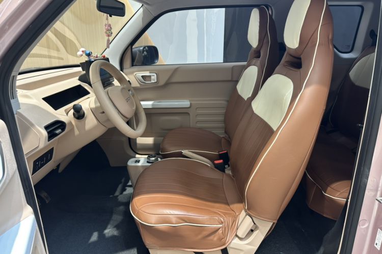 Used  Panda 2024 Panda Mini 200km Endurance Bear
