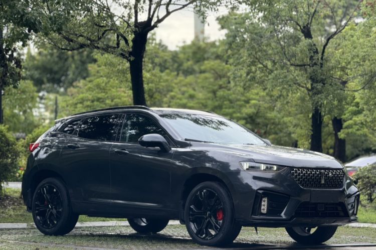 Used Wey VV7 2020 2.0T Flagship Edition
