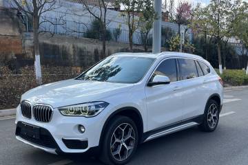 Used BMW X1 2019 xDrive20Li Luxury Model