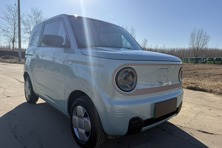 Used  Panda 2024 Panda Mini 200km Endurance Bear
