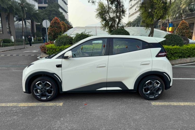 Used BYD Seagull 2025 Smart Drive Version 305 km Freedom Edition
