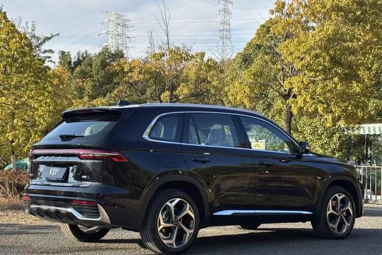 Used Geely Auto Monjaro L 2024 2.0TD DCT EVO Two-Wheel Drive Long-Range Version
