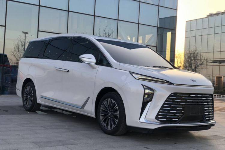 Used Buick GL8 2025 Lu Zun Deluxe Edition
