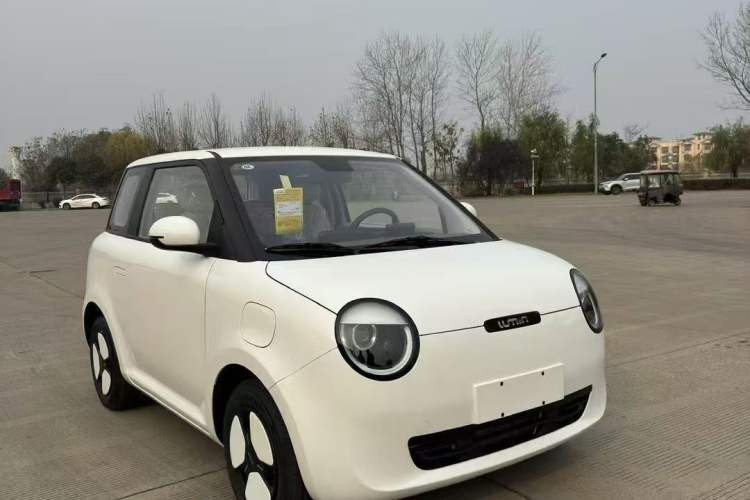 Used  Lumin 2023 205km Xiangqin Version
