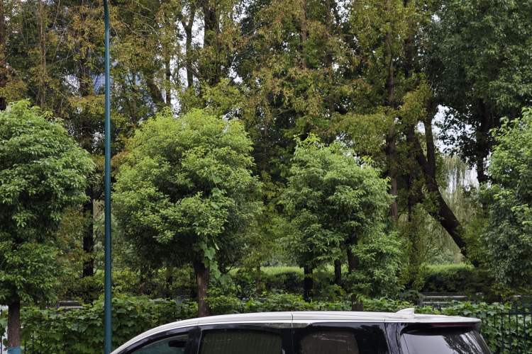 Used Buick GL8 2022 ES Landtrek 653T Comfort Edition
