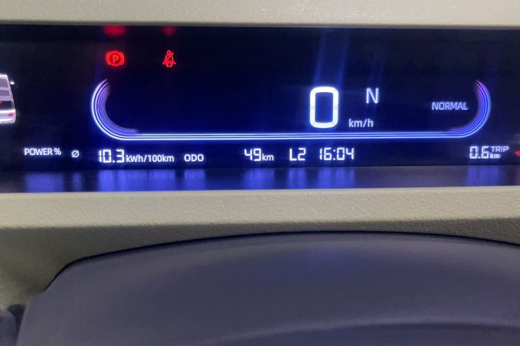 Used  Panda 2024 Panda Mini 200km Endurance Bear