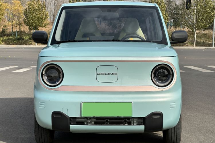 Used  Panda 2023 Panda Mini 120km Super Cute Bear