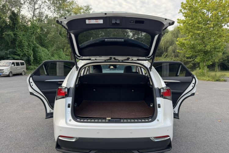 Used Lexus NX 2016 200 All-Wheel Drive FENGSHANG Version