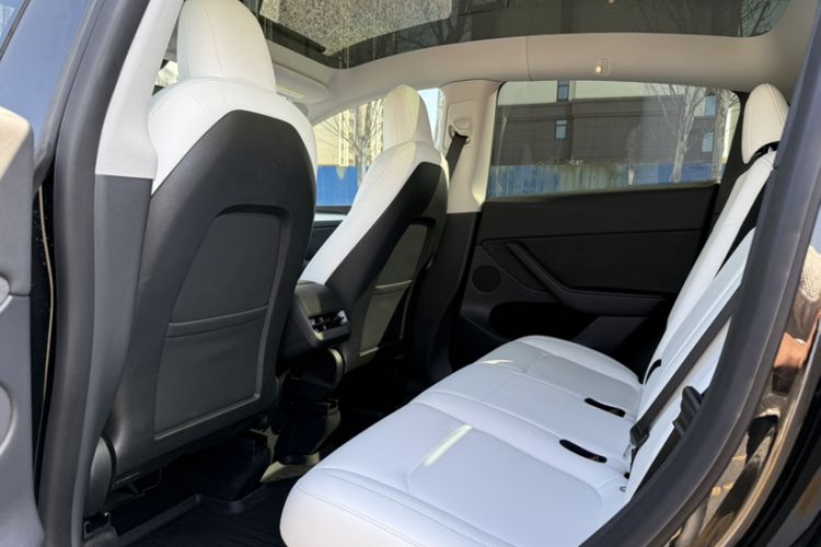 Used Tesla Model Y 2021 Standard Range Rear-Wheel Drive Version
