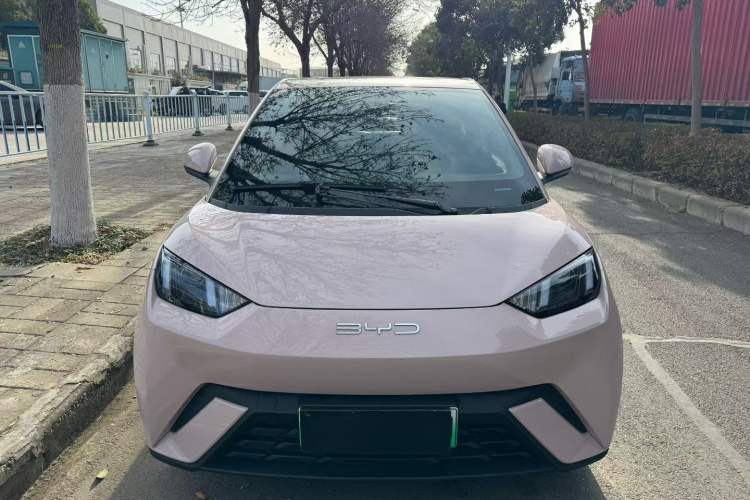 Used BYD Seagull 2023 Active Version
