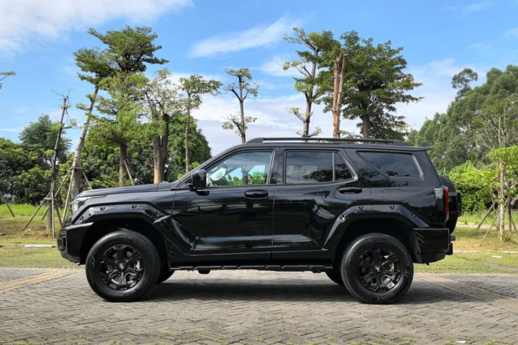 Used Tank 400 2025 2.0T Gasoline Version
