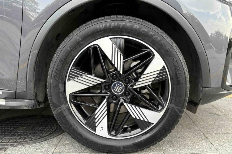 Used BYD Tang New Energy 2023 DM-i Champion Edition 112KM Prestige Model