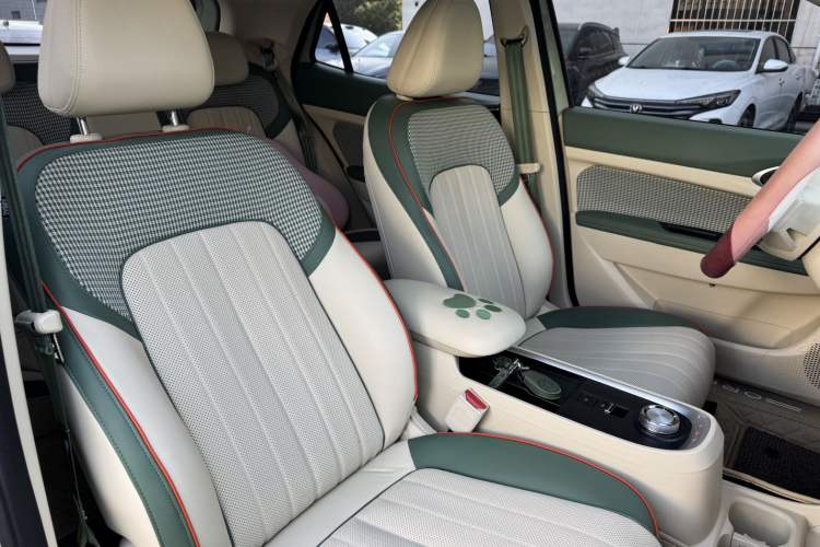 Used ORA Good Cat 2022 Morandi Edition 400km Standard Range Premium Version Lithium-Ion Battery
