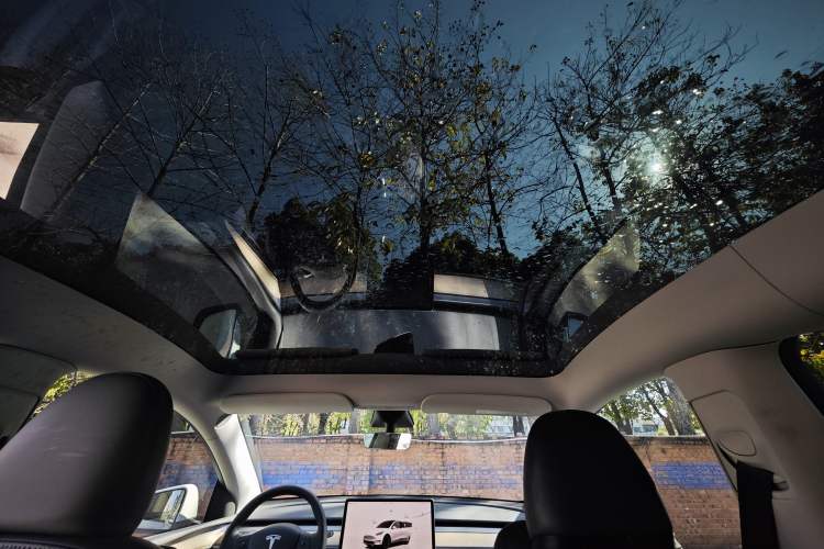 Used Tesla Model Y 2022 Revised Version Long-Range All-Wheel Drive